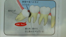 スタッフによるブログです。-201209210959000.jpg